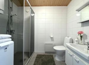 Kaunis kaksio Karjasillalla في أولو: حمام مع دش ومرحاض ومغسلة