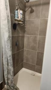 a shower with a shower curtain in a bathroom at Shepparton Central Guest Suite in Shepparton +7 photos