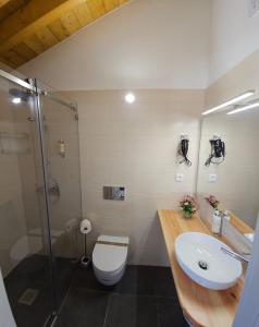 een badkamer met een toilet, een wastafel en een douche bij Casa do Chafariz - Rooms in Cercal
