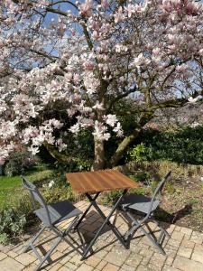 a picnic table and two chairs in front of a tree at Ferienhaus Chalet Andante in Hannoversch Münden +17 photos