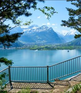 uitzicht op een meer met bergen op de achtergrond bij Alpenperle in Isenthal