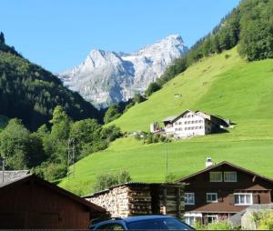 een groene heuvel met een huis en een berg bij Alpenperle in Isenthal