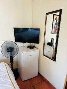 Cette chambre dispose d'une télévision et d'un réfrigérateur. dans l'établissement Deletz Guesthouse, à Witbank