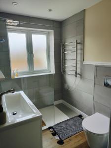 baño con lavabo y aseo y ventana en Clifton House en Londres