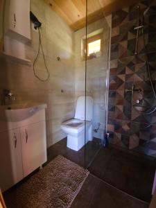 a bathroom with a toilet and a shower at Art Village in Kremna +21 photos