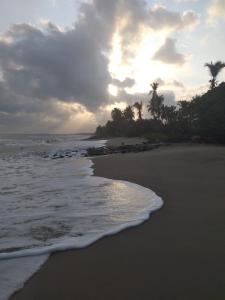 una spiaggia con palme e l'oceano al tramonto di Habitación Dibulla la Guajira a Dibulla
