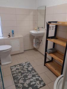 ein Badezimmer mit einem Waschbecken, einem WC und einem Spiegel in der Unterkunft Ferienwohnung Reepschläger in Papendorf
