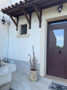 a front door of a house with a vase with a plant at Desiree Casa Vacanze in Avola