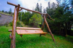 un'altalena appesa a un ramo di un albero in un cortile di Willa Sport a Zakopane Altre 47 foto
