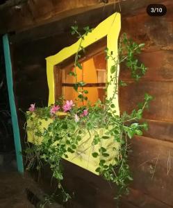 uma caixa de janela com flores ao lado de uma casa em Parcela 7 em Quillón