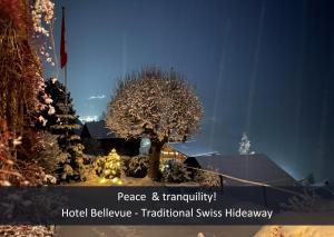 ヴェンゲンにあるHotel Bellevue - Traditional Swiss Hideawayの木と家のクリスマス展示