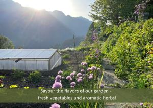 a garden with pink flowers and a greenhouse at Hotel Bellevue - Traditional Swiss Hideaway in Wengen