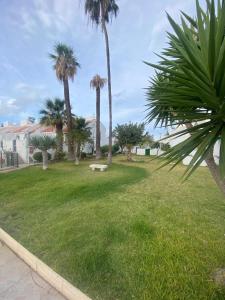 The Best House Tenerife Habitaciones Compartidas外面的花园