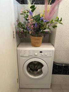 a basket of flowers sitting on top of a washing machine at Casa Peppo in Marciana +8 photos