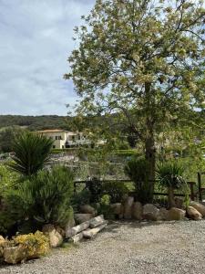 a garden with a tree and rocks and a fence at Casa Peppo in Marciana