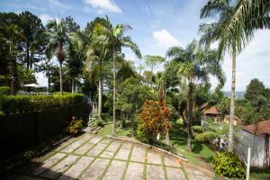 ogród z palmami i ogrodzeniem w obiekcie Chacara totalmente equipada em Juiz de Fora MG w mieście Juiz de Fora