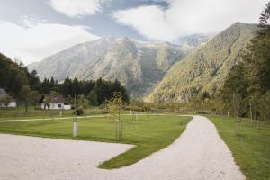un camino de tierra en un campo con montañas en el fondo en The Campus Alps - tiny homes, en Hieflau