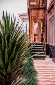 杜尚別的住宿－HOTEL DIOR，通往植物建筑的楼梯