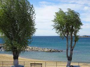 two trees and a bench on a beach at Kalamitsa Beachfront Escape in Kavala