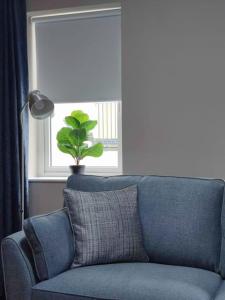 a blue couch in a living room with a window at Blacklion prime location apartment in Blacklion