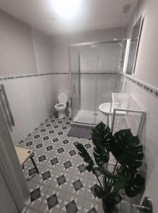 a bathroom with a toilet and a potted plant at Blacklion prime location apartment in Blacklion