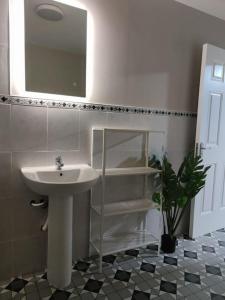 a bathroom with a sink and a potted plant at Blacklion prime location apartment in Blacklion