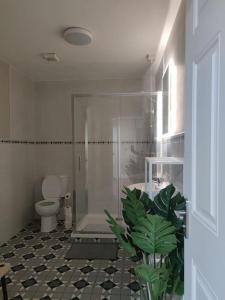 a bathroom with a shower and a toilet and a plant at Blacklion prime location apartment in Blacklion