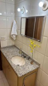 塞拉的住宿－Casa Amarela，浴室设有水槽和花瓶