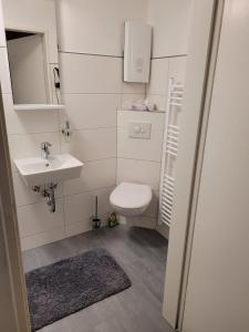 a small bathroom with a toilet and a sink at Hafen Deern in Flensburg