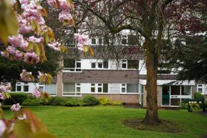 a building with a tree in a yard with pink flowers at The Whetstone in Birmingham