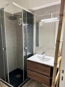 a bathroom with a shower and a sink and a mirror at Appartement in Fort-de-France