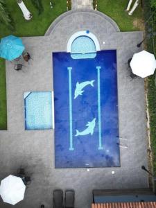 een uitzicht over een zwembad met dolfijnen erop bij Casa Quinta Villa Cristal in Acacías