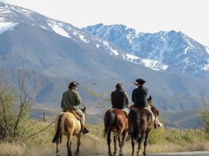 Tres hombres montando caballos por un camino con montañas en el fondo en Casa Rural Los Coirones 6Pax By Inside en Tupungato