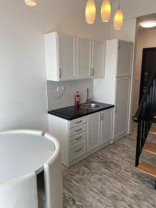 Kuhinja oz. manjša kuhinja v nastanitvi Apartman Leona F3
