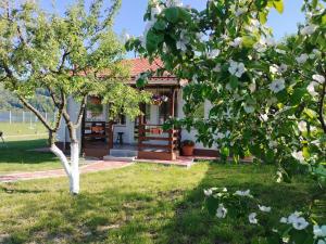 a house with a garden and a tree at Desculti prin iarba- la 6,6 km de centrul Piatra Neamt in Piatra Neamţ