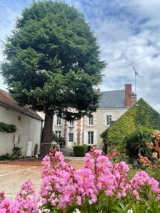 a garden with pink flowers in front of a house at La Maison Voyage Bed and Breakfast in Onzain