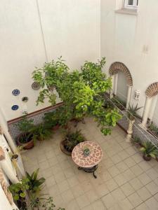 une cour avec des plantes en pot et une table dans l'établissement ALYANA, à Cordoue