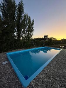 ein blauer Pool in der Mitte eines Gartens in der Unterkunft Abuela Greta in Sierra de la Ventana