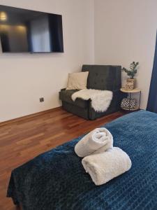 a living room with a couch and a blue rug at Apartament Brzozowa 5minut Krupówki in Zakopane