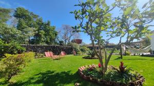 un jardín con un árbol y flores en un patio en Quinta dos Sentidos Eco Nature Retreat in Azores, en São Vicente Ferreira