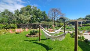 a hammock in the middle of a yard at Quinta dos Sentidos , Rustic Holiday Houses in São Vicente Ferreira in São Vicente Ferreira