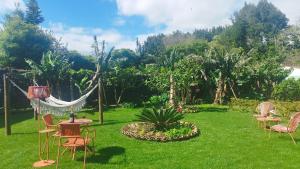 een tuin met stoelen en een hangmat in het gras bij Quinta dos Sentidos , Rustic Holiday Houses in São Vicente Ferreira in São Vicente Ferreira