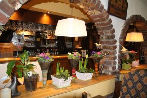 a bar with vases of plants on a shelf at Grillglut in Arnsberg
