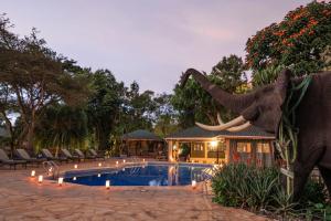 Kolam renang di atau dekat dengan KUDU LODGE & CAMPSITE