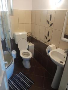 a bathroom with a toilet and a sink at Casa Barry's in Tăşnad