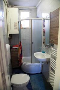 Apartman Ksenija في دياكوفو: حمام صغير مع مرحاض ومغسلة