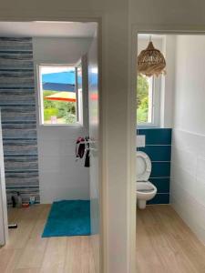 een badkamer met een toilet en 2 ramen bij Villa Les Sables Vigniers, Piscine et Jacuzzi prives, plage à 800m in Les Sables Vignier