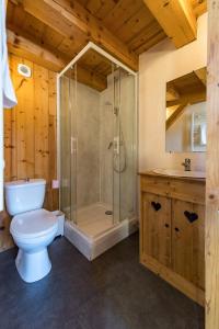 uma casa de banho com um chuveiro, um WC e um lavatório. em Chalet de charme 11 personnes proche du centre du village em Saint-Sorlin-dʼArves