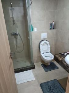 y baño con ducha, aseo y lavamanos. en Appartement au Parc Mohammedia, en Mohammedia