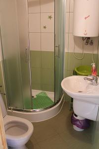 a bathroom with a shower and a toilet and a sink at Domki nad jeziorem Mrągowo-Marcinkowo in Mrągowo